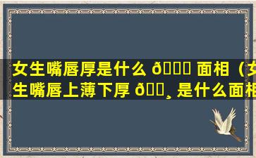 女生嘴唇厚是什么 🍀 面相（女生嘴唇上薄下厚 🕸 是什么面相）